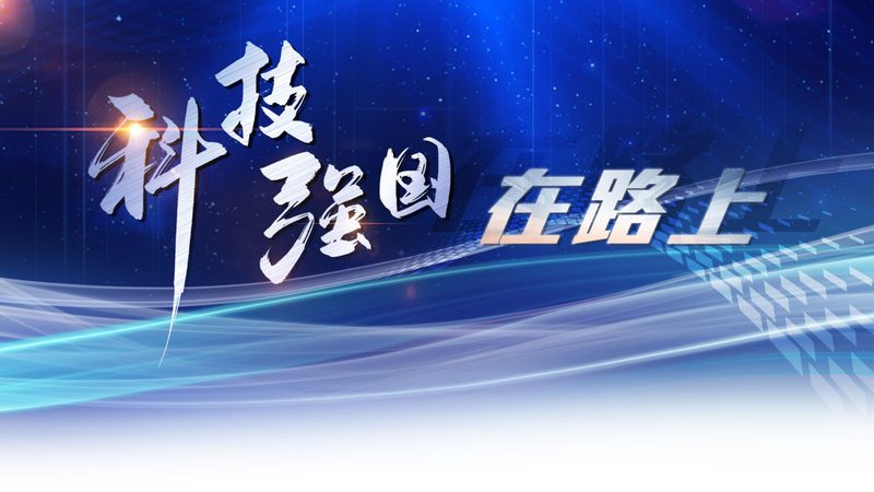 从数据工程师到架构师的能力跃迁路径
